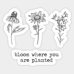 Bloom where you are planted 3 Wildflowers Sticker